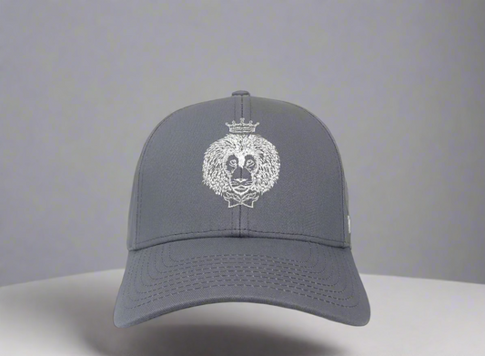 Gray cap with a white emblem on a white background
