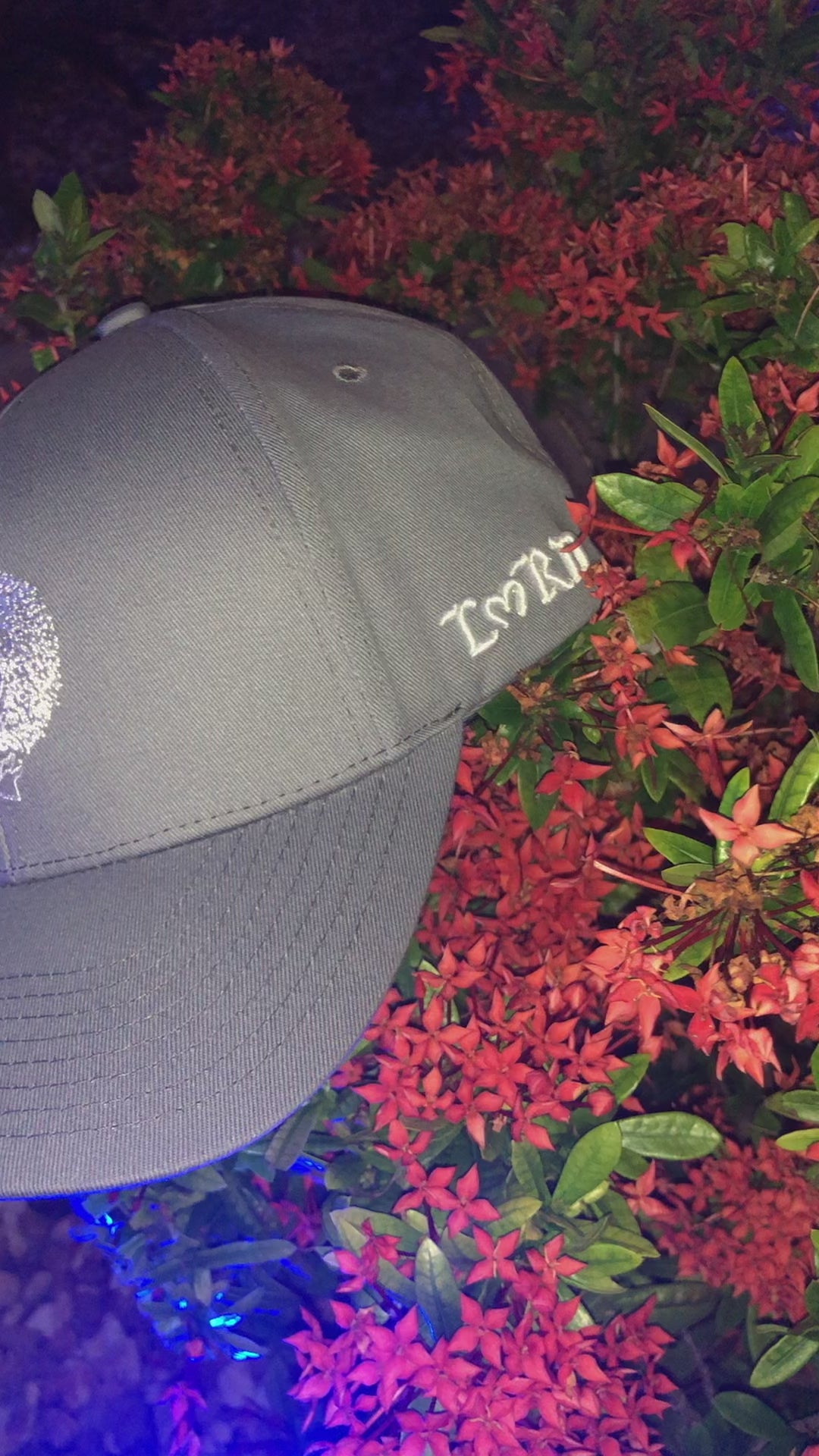 L3RD Classic Lion Logo Hat